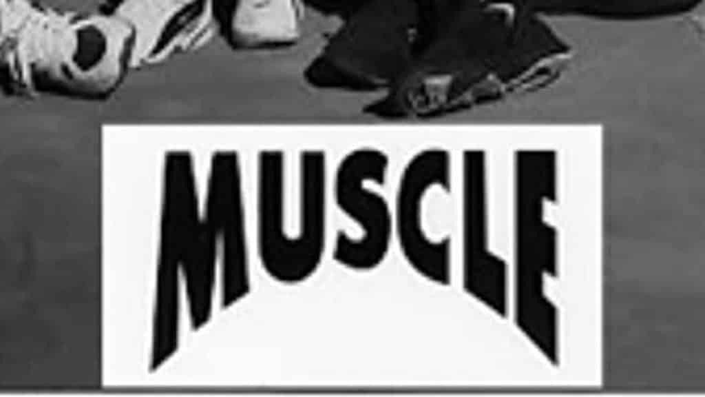 Muscle Muscle