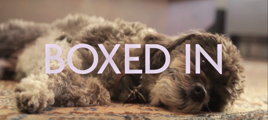 Boxed In Boxed In