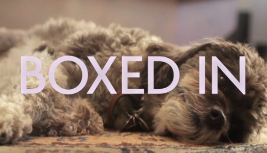 Boxed In