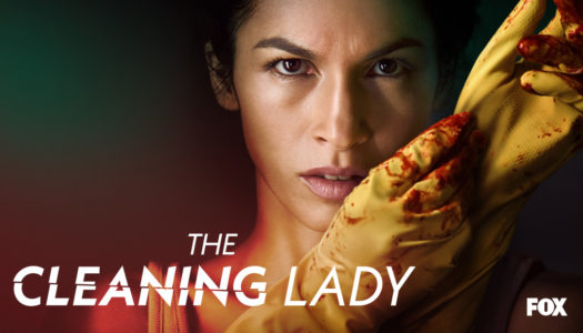 The Cleaning Lady